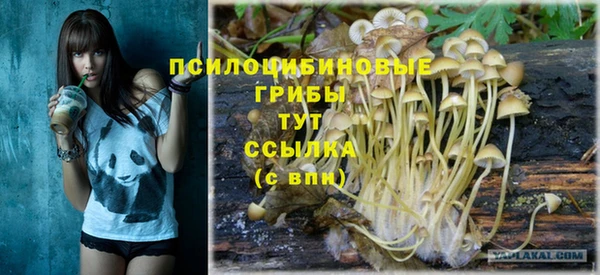 spice Армянск