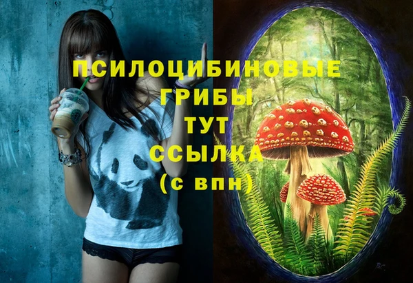 spice Армянск
