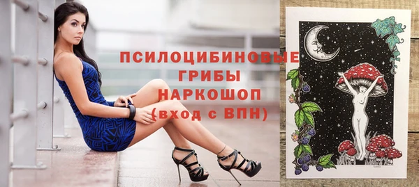прущие крисы Арсеньев