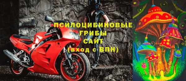 прущие крисы Арсеньев